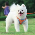 thumbnail image 4 of Spencer No Pull Dog Harness and Leash Adjustable Reflective No-Choke Pet Vest Harness Nylon Easy Control for Small Medium Large Dogs （L, Orange）, 4 of 9
