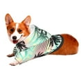 thumbnail image 2 of Junzan Tropical Summer Palm Dog Hoodie Puppy Sweater Sweatshirt,Cold Weather Coat Pet Clothes for Dog Cat-X-Large, 2 of 9