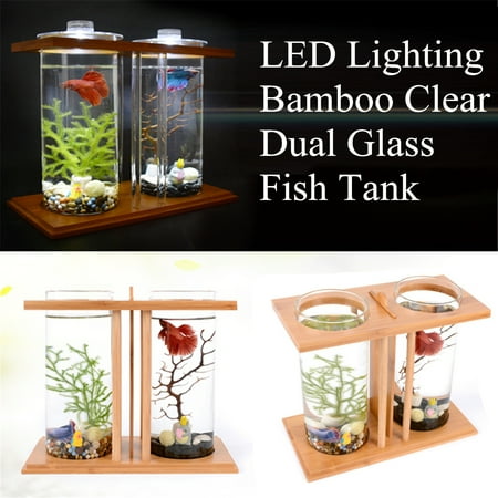 aquarium bamboo betta best