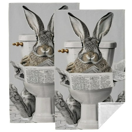 

Nawy Funny Kitchen Towels Set of 2 Ultra Absorbent & Quick Dry Hand Towels 27.5x16in 27.5*16in