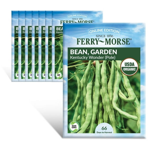 Ferry-Morse Online Edition Bean Kentucky Wonder Organic Seeds - 8 Pack