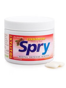 Spry Chewing Gum Cinnamon 100 Ct Jar 100 ea
