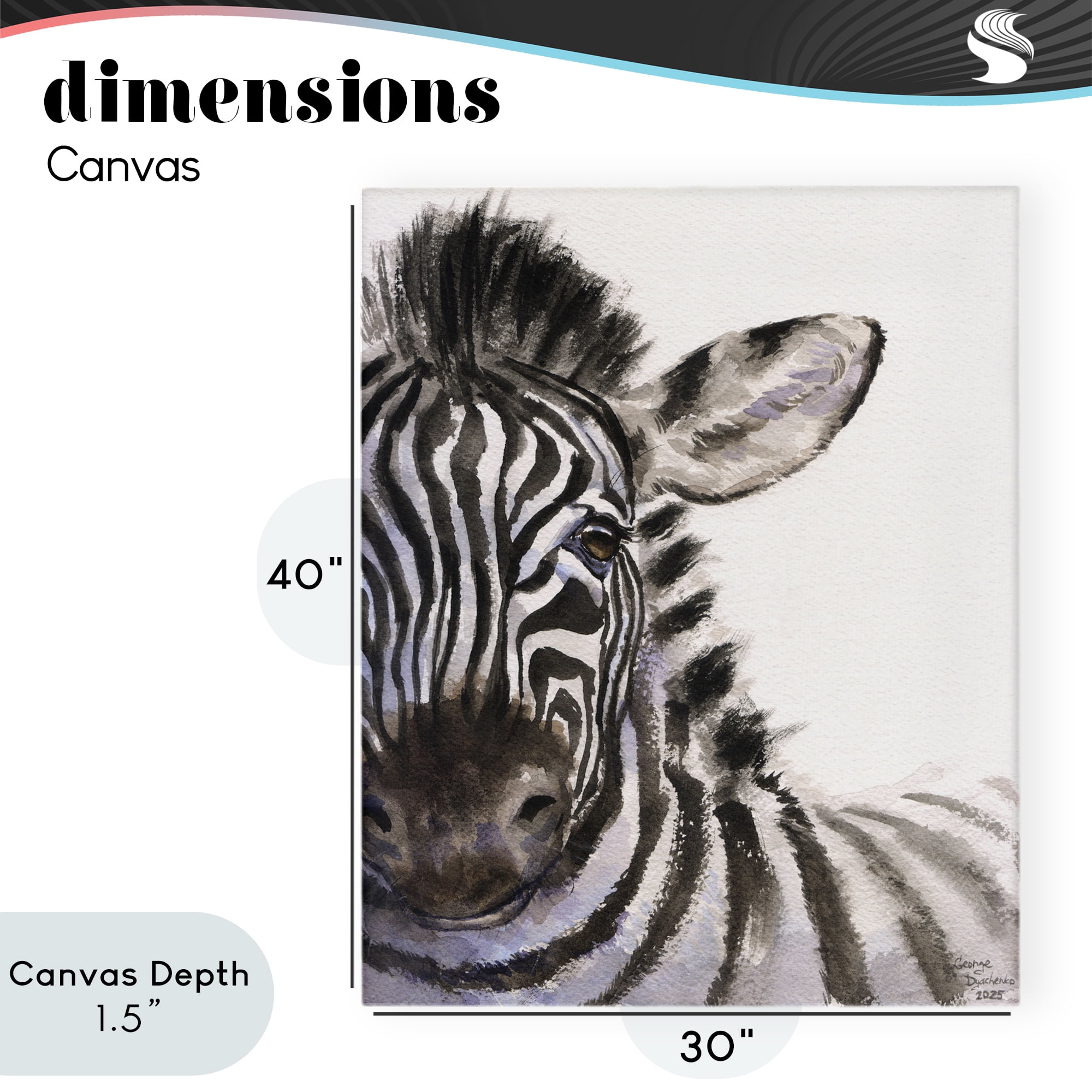 Stupell Industries Zebra Portrait on White Canvas Wall Art, design by George Dyachenko