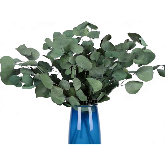1 Bundle Real Eucalyptus Stems, 15.7" Dried Preserved Fresh Eucalyptus Silver Dollar Leaves for Shower - Greenery Branches for Wedding Home Party Vase Filler Spring Decor