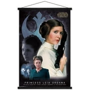 Star Wars: Saga - Princess Leia - Memory Wall Poster with Wooden Magnetic Frame, 22.375" x 34"