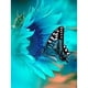 thumbnail image 1 of Pintura de diamante (DE5600) Mariposa 5D Imagen de diamantes de imitación de resina redonda completa (WX520) 40x50cm FLhrweasw Nuevo, 1 of 1