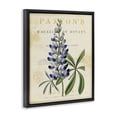 thumbnail image 2 of Stupell Industries Cottage Natural Botany Lupine Black Floating Frame Canvas Art, 25 x 31, by Susan Arnot, 2 of 8