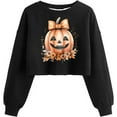 thumbnail image 1 of Ailaofu Women's Sweatshirt Fall Halloween Lantern Long Sleeve Pullover Spooky Season Sweatshirt, 1 of 2