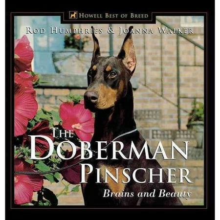 The Doberman Pinscher: Brains and Beauty