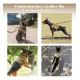 thumbnail image 5 of Arnes Táctico Para Perro Grande Perro Pechera Chaleco, 5 of 7