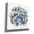 thumbnail image 2 of Epic Graffiti 'Tropical Plant V' by Grace Popp, Canvas Wall Glass, 18"x18", 2 of 2