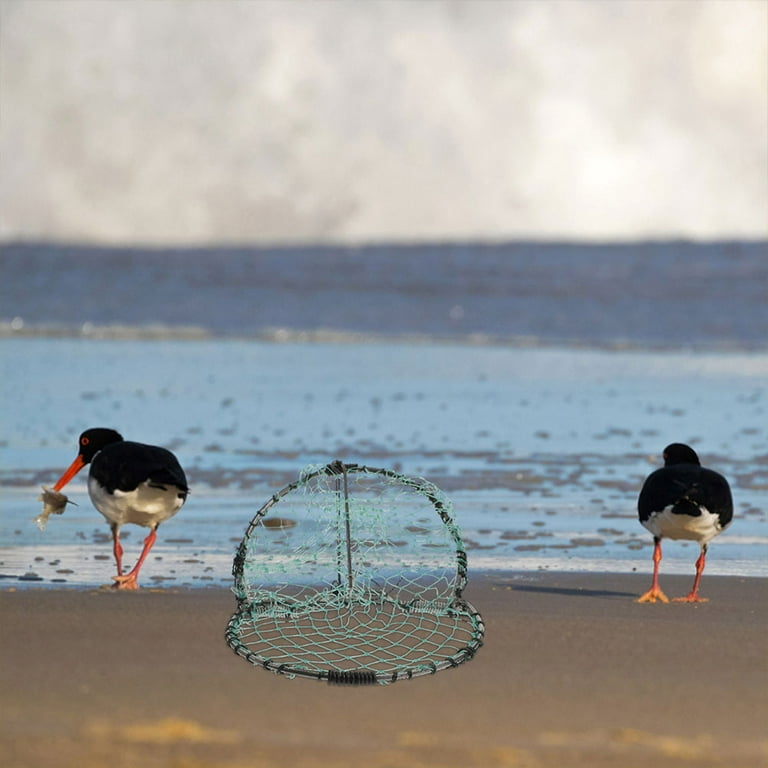 4 Pieces Where Bird Trap Traps for Small Animals Birds Mesh Net