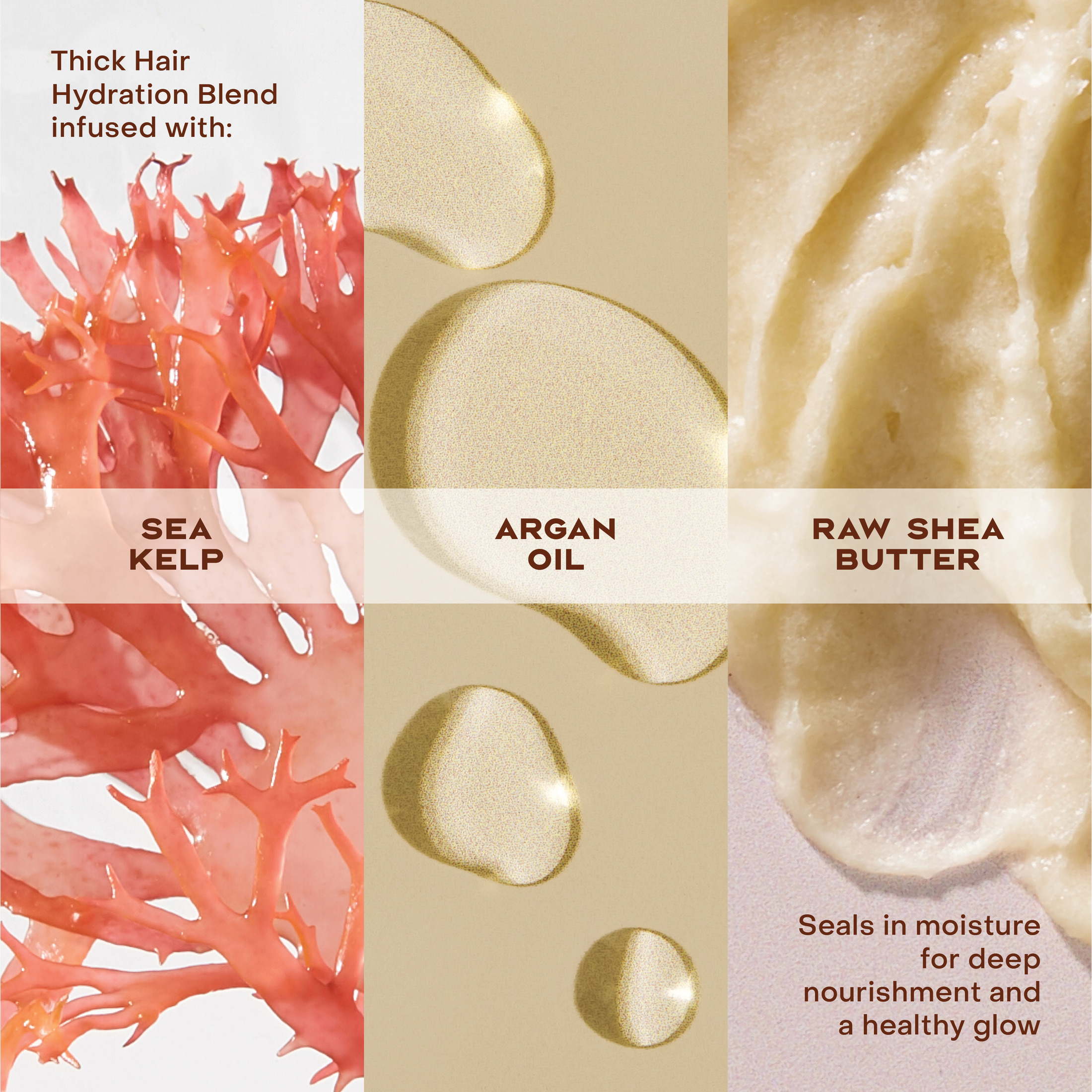 SheaMoisture Raw Shea Butter Deep Moisturizing Hair Masque photo 5