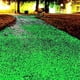 thumbnail image 4 of Piedras luminosas decorativas, guijarros, tanques, artesanías, paisajismo para bodas, caminos, patios Verde, 4 of 8