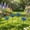 Blue, variant on Ceramic Flower Butterfly Water Feeder Decorative Outdoor Garden Pollinator Water Station for Yard Butterflies Insects,Blue