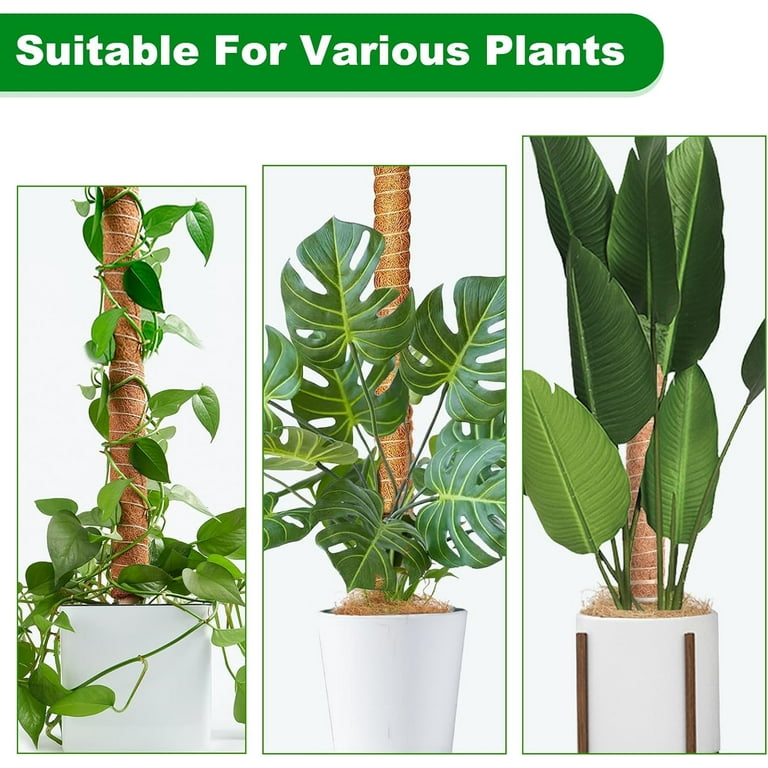 potted plants stand 6-Tier Corner Plant Stand Flower Shelf