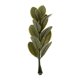 thumbnail image 1 of Hojas De Sauce De Seda Verde Artificial Simuladas De Hoja De Eucalipto Cesta De Flores Ramo Artesanal Accesorios De Boda Jardín Dormitorio Decoración, 1 of 4