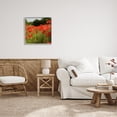 thumbnail image 2 of Stupell Industries Brilliant Red Poppy Meadow Scenic Flower Blooms Photograph Gray Framed Art Print Wall Art, Design by Dan Meneely, 2 of 5