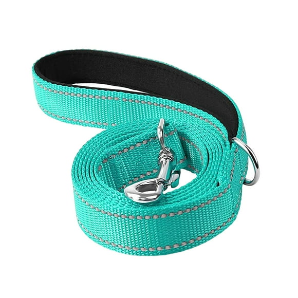 Correa Reflectante Jinwen para Perros Nylon Trenzado Fuerte Durable Verde