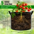 thumbnail image 2 of Livease 7 Pack 5 Gallon Grow Bags, Nonwoven Garden Pots with Handles, Vegetable Plant Containers, 2 of 8