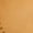 A, variant on Shapewear Tummy Control Woman High Waisted Shaper Pants Traceless Butt Lift Gaine Amincissante Femme Warm Yoga Fajas Short Reductoras Body Shaper Shorts Underwear for Women