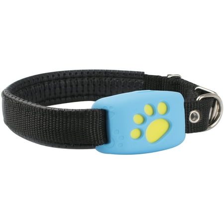 Pet GPS Tracker Device Collar & Activity Monitor for Pet Cats Dogs, Waterproof, Anti Lost Finder Global Monitor Tracker, Required Network Tracking, Free APP & Web Platform, Blue(SIM Card Not (Best Navigation App Nz)