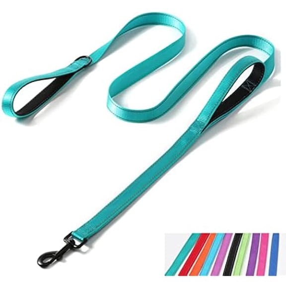 1997 4ft Dog Leash with Two Handles, Reflective Extra Control Outside Durable Training Lead Heavy Duty Nylon Leashes for Small Medium Large Breed Pet Dogs, 1-inch Width, Teal