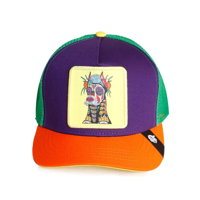 Gorra curva Pook Alebrije Xoloitzcuintle