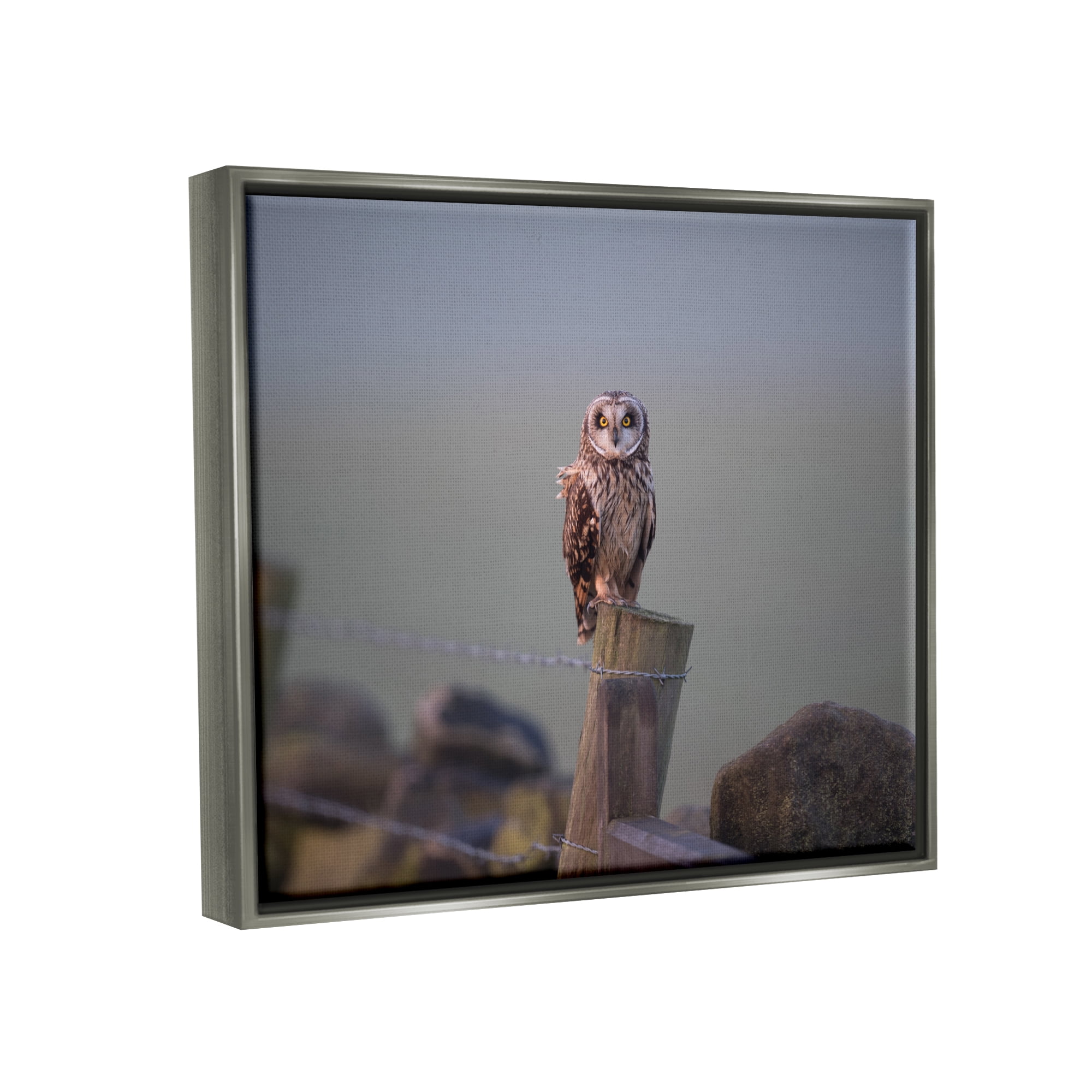 Stupell Industries Intensely Gazing Owl Perched Rural Fence Post Photograph Luster Gray Floating Framed Canvas Print Wall Art, Design by James Dobson