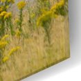 thumbnail image 3 of Epic Art  'Old Barn In A Summer Field'  by Don Schwartz, Acrylic Glass Wall Art, 16"x24", 3 of 8