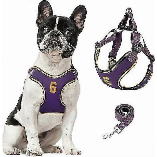 Dog Harness and Leash Set, Adjustable Step in Pet Vest Harness Soft Easy Walk, No Chock Puppy Harness for Small Medium Dogs