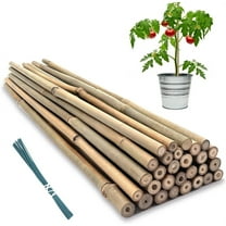 Triani Plant Stakes, 18 Inches Natural Garden Bamboo Sticks, 20Pcs Plant Support Stakes for Tomatoes,Beans,Vegetable and Potted Plants