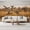 Color 3, variant on Flock Mallard Ducks Flight Wetland Marshes Peel and Stick Wall Murals 69"H x 96"W Removable PVC Wallpaper Self-Adhesive Wall Paintings for Bedroom Living Room