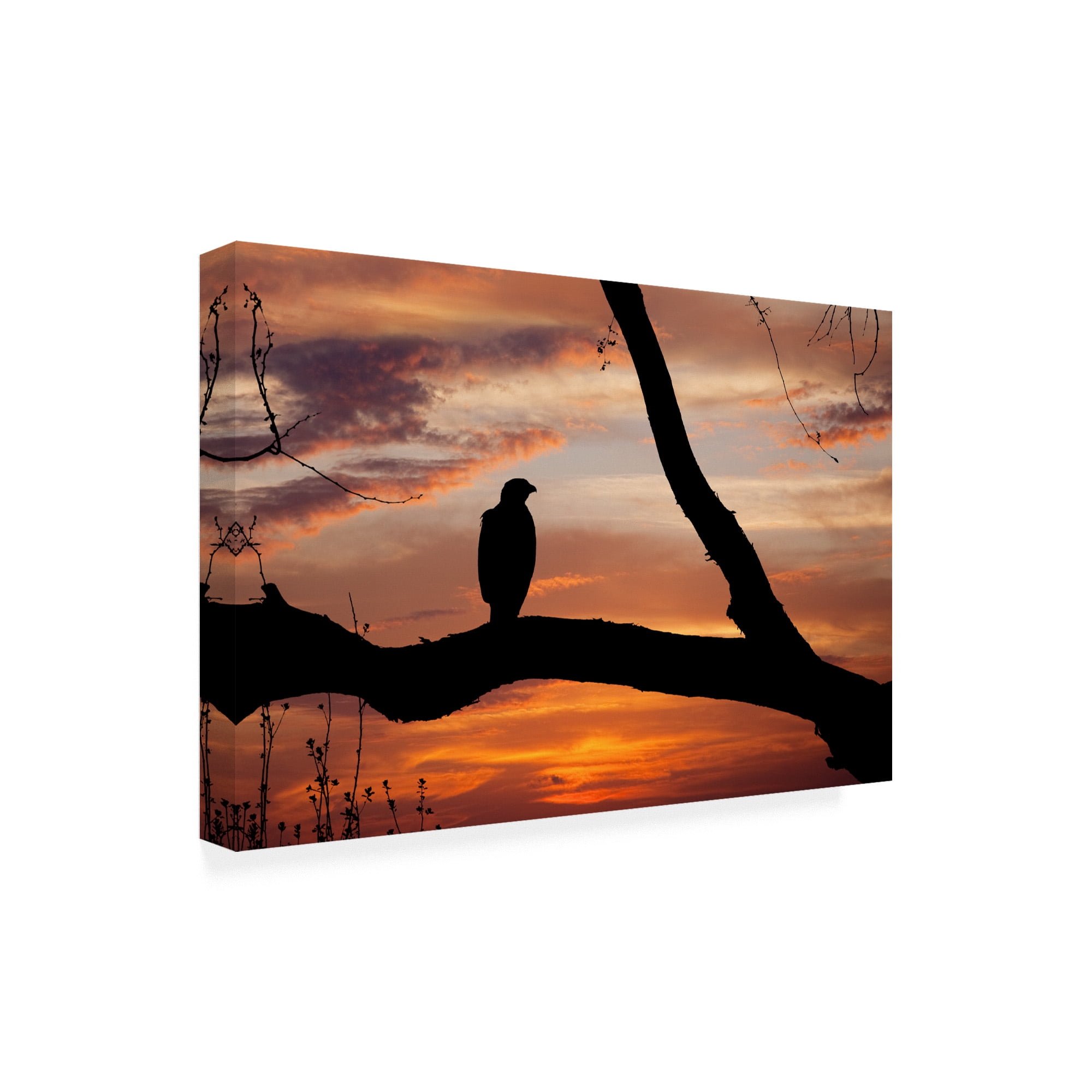 Trademark Fine Art 'Eagle Sunset' Canvas Art by Monte Nagler