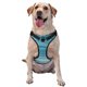 thumbnail image 1 of Balery Teal Turquoise Fluid Stripes Arnés para Perros Grandes Antitirones, Arnés con Correa para Gato, Arnés Tipo Chaleco para Perros Pequeños-X-Large, 1 of 6