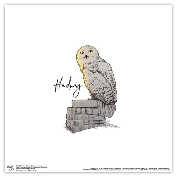 Gallery Pops Harry Potter - Glimmer Hedwig Wall Art, Unframed Version, 12" x 12"