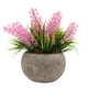 thumbnail image 1 of Labymos Mini plantas artificiales en maceta, maceta, 1 of 8