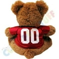 thumbnail image 2 of San Francisco 49ers Teddy Bear Pet Toy, 2 of 2