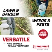 Chapin 20000 1 Gallon Lawn and Garden Pump Sprayer