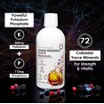 thumbnail image 5 of Rawleigh Power Minerals Plus K Liquid Supplement with Potassium Phosphate, 32 fl oz, 5 of 11