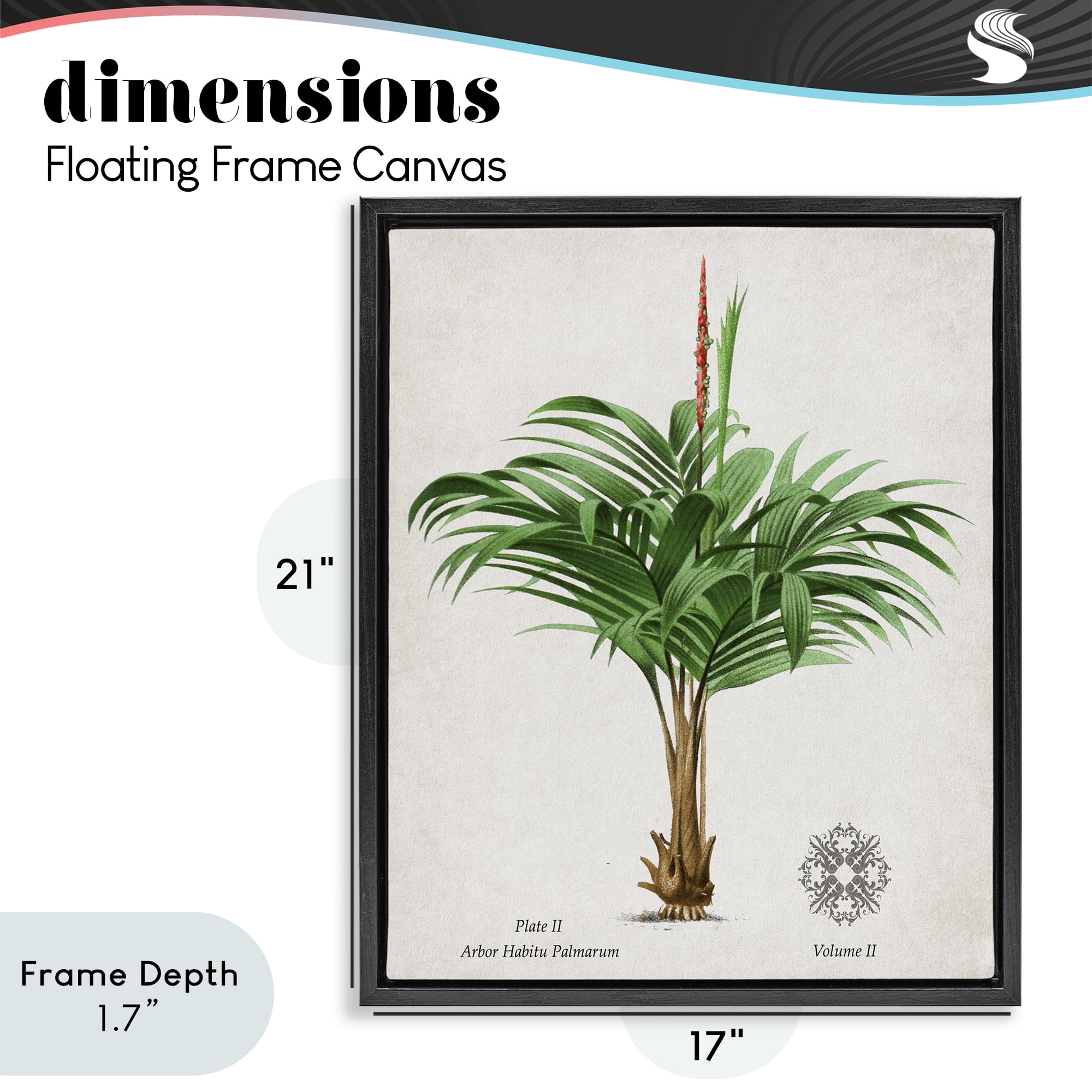 Stupell Industries Natural Palm Variety Study Black Framed Floater Canvas Wall Art, design by Val Rhodes