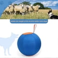 thumbnail image 2 of Thick Durable Anti-burst Training Balls For Horses Cattle And Dogs With Scratch-resistant Surface And Sensory Stimulating Features, 2 of 5
