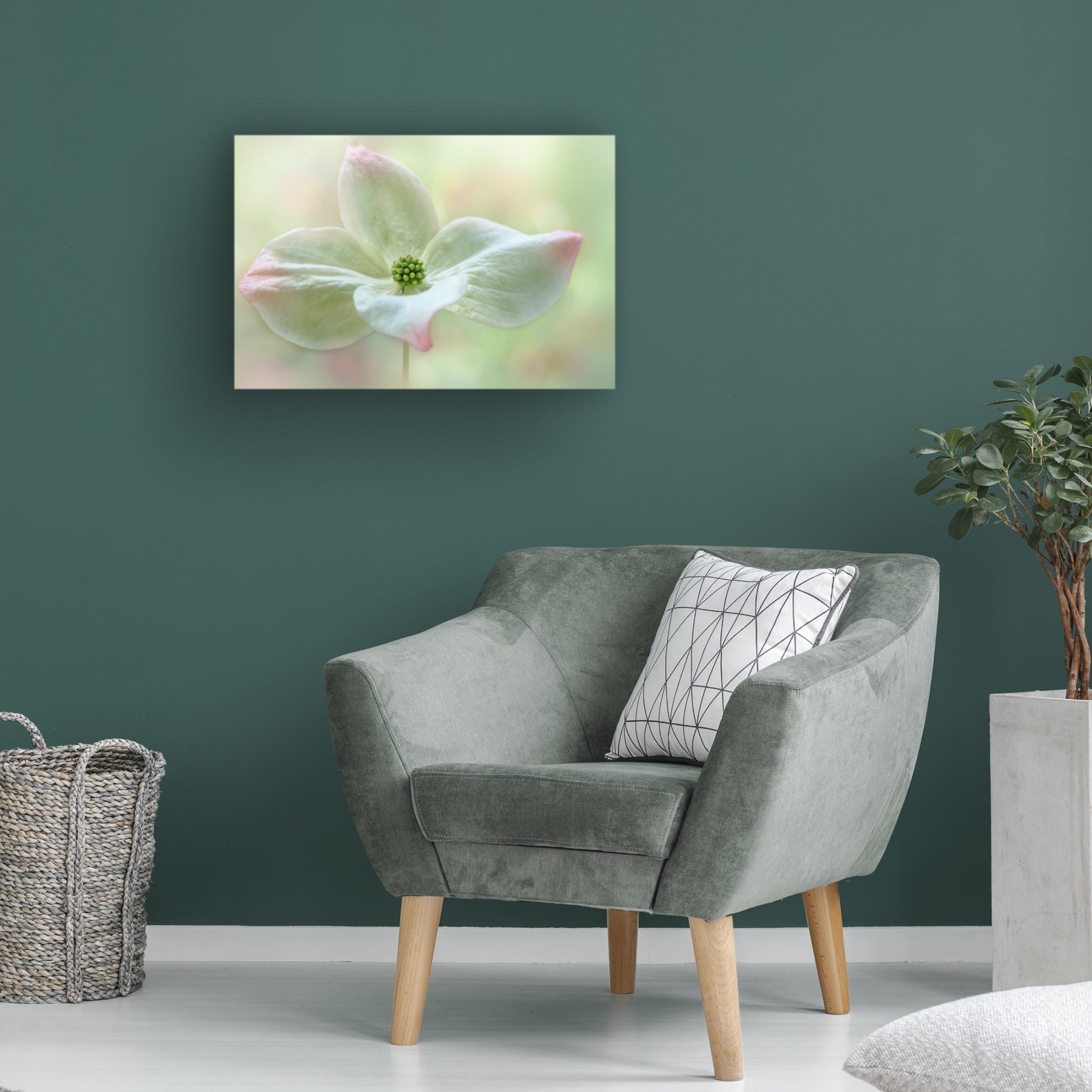 Canvas Wall Art - Jacky Parker 'Cornus Kousa' Wall Art for Living Room, Bedroom, or Office D?cor by Trademark Fine Art - 47 x 30 Inches