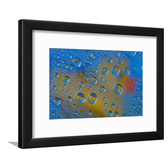 Yellow rubber duck reflection in dew drops, Framed Art Print Wall Art by Darrell Gulin Sold by Art.Com