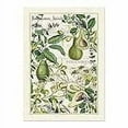 thumbnail image 2 of Michel Design Works Lemon Basil Kitchen Towel, Natural Woven Cotton, 2 of 4