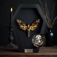 thumbnail image 2 of Black Frame Shadow Box Butterfly Moth, Gothic Insect Inspired Wall Art, Dark Aesthetic Home Decor, Framed Display for Curiosity Cabinet CF18-01-DE-MT, 2 of 6