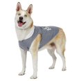 thumbnail image 5 of Vibrant Life Halloween Hoodie for Dogs, Lil' Boo, Gray, L, 5 of 8