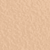 IVORY BUFF