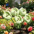 thumbnail image 6 of Tulip Shape Bird Bath Decorative Outdoor Garden Pollinator Water Station, Floral Bird Drinking Basin for Backyard Patio Balcony, 6 of 6