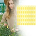 thumbnail image 2 of 100PCS/Pack Plant Tags Labels for Garden Decor, Nursery Plants Vegetable Markers, Flower Identification Stakes for Home and Outdoor Use, 2 of 9